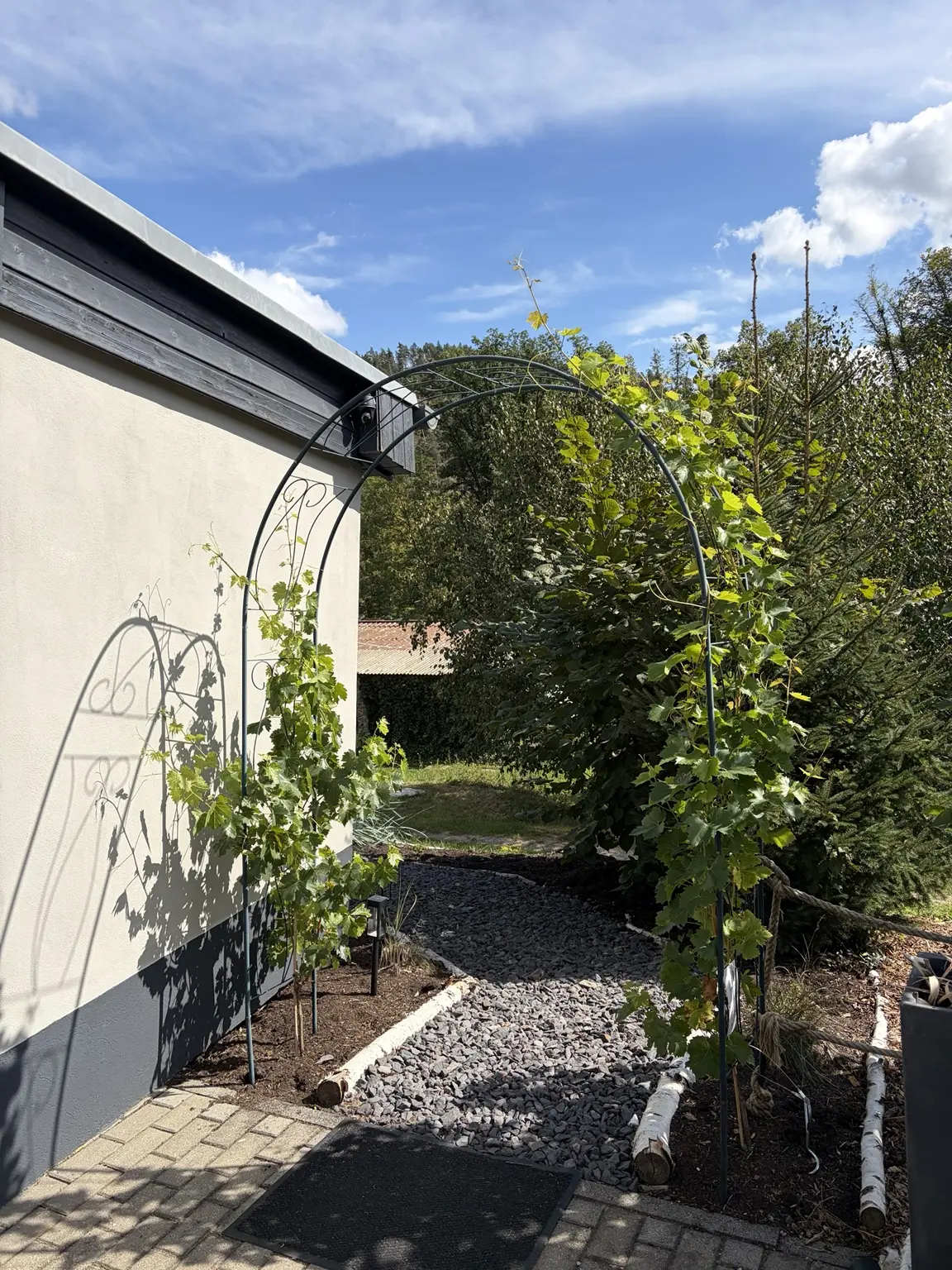 Begrünter Weg entlang des Restaurants